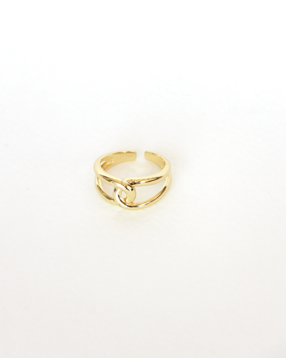 Anillo dúe
