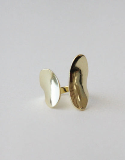 Anillo Roux
